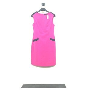 💕NWT💕 The Limited pink dress
